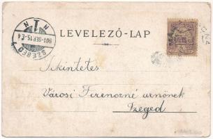 1901 Máriaradna, Mária-Radna, Radna (Lippa, Lipova); Solymosi vár, kegytemplom. Gregor Fischer kiadá...