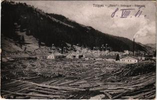 1911 Gyergyótölgyes, Tölgyes, Tulghes, Tulghies; Márer fűrészgyár. Niszel Lőrinc és Testvére kiadása / Sägewerk / sawmill, lumber yard (EK)