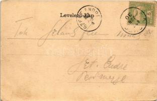 1903 Gyergyótölgyes, Tölgyes, Tulghes, Tulghies; utca / street view (EK)