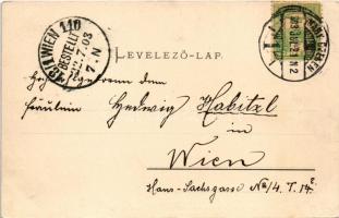 1903 Szebenjuharos, Hohe Rinne, Paltinis; gyógyház / Kurhaus auf der Hohen Rinne. Chromophototypie v...