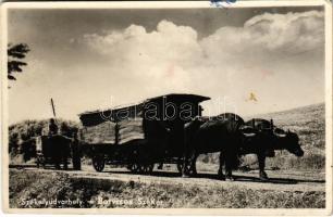 1943 Székelyudvarhely, Odorheiu Secuiesc; Borvizes bivaly szekér / Transylvanian folklore, buffalo cart carrying mineral water (fa)