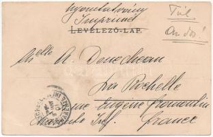 1900 Zsögödfürdő, Jigodin Bai; vasútállomás. Szvoboda József kiadása / railway station. TCV card (EB...