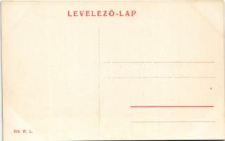 Arad, megyeház. W.L. 510. / county hall