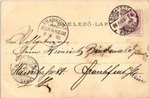 1898 (Vorläufer) Budapest, Kir. vár és várbazár, Lánchíd. O.Z.M. Art Nouveau, floral, litho (EK)