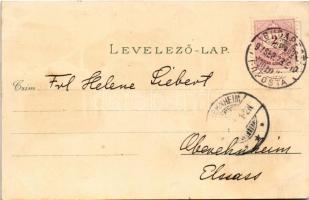 1897 (Vorläufer!) Székesfehérvár, Vörösmarty szobor, Püspöki palota, Megyeház, Színház, Nádor utca. ...