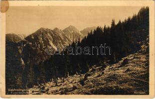 1913 Fogarasi-havasok, Siebenbürgische Karpathen, Muntii Fagarasului; Fogarascher Höhenzug. Haitasel / mountain range (fl)