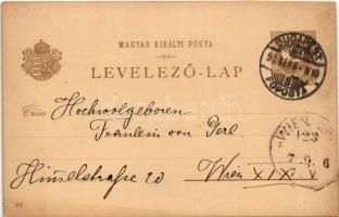 1896 (Vorläufer!) Esztergomi bazilika, Visegrádi vár, gőzhajó. Ezredéves Országos Kiállítás barna 2 ...