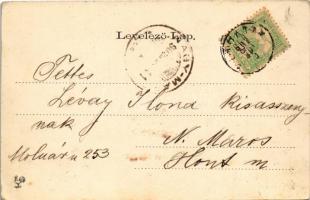 1902 Előpatak, Valcele; Bogdán villa. Szecessziós virágos litho keret / villa. Art Nouveau, floral, ...