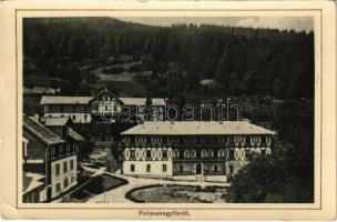 1910 Feketehegy-fürdő, Feketehegy, Schwartzenberg, Cernohorské kúpele (Merény, Vondrisel, Nálepkovo); látkép. Lomniczy V. kiadása / general view, spa (EK)