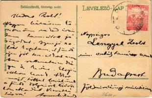 1918 Szliács, Sliac; Üdvözlégy szálloda. Molnár Vilmos kiadása / hotel, spa (EK)