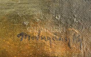 Mednyánszky jelzéssel: Fények. Olaj, vászon. Javított. 56x40 cm