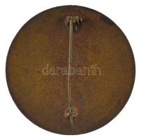 ~1930. "Mester lövő" zománcozott, bronz irredenta jelvény (40mm) T:XF,VF zománchiba
Hunga...