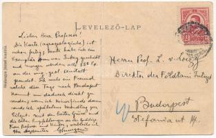 Abrudbánya, Abrud; Vulkán-hegy. Skalangya József kiadása / Vulcan (fa)