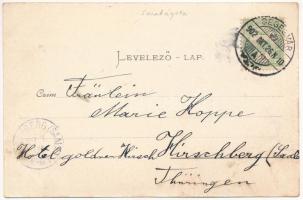 1902 Szentágota, Agnetheln, Agnita; Lederfabrik, Marktplatz, Aussichtswarte auf Steinburgschöh / bőr...