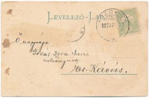 1907 Bozovics, Bozovici; Unterer Wasserfall der Coronini Quelle / Alsó Vízesés kirándulókkal / water...