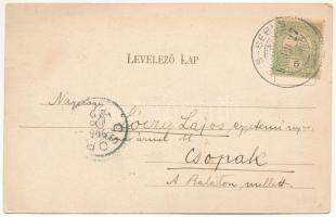 1906 Rév-Brátka, Vad-Bratca; Szolcsányi villa / villa (EK)