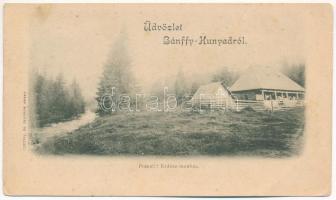 1901 Bánffyhunyad, Huedin; Ponori erdész menház. Czettel és Deutsch / forestry house (EK)