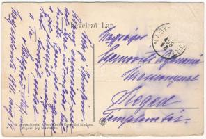 1911 Nagyszalonta, Salonta; Arany János emléktárgyai és Arany Juliska sírja. Arany Emlék Egyesület k...