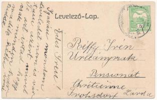 1911 Székelyudvarhely, Odorheiu Secuiesc; megyeház, magy. kir. állami főreáliskola, Bagó Gyula üzlet...