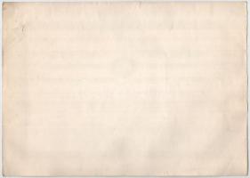 Budapest 1920. "Magyar Asphalt Részvénytársaság" részvénye 200K-ról, magyar és német nyelv...