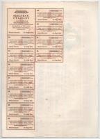 Makó 1929. "Makói Népbank Részvénytársaság" részvénye 50P-ről szelvényekkel, szárazpecsétt...