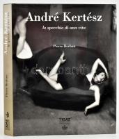 Borhan, Pierre: André Kertész. Lo specchio di una vita. Miláno, 1998, Federico Motta. Gazdag képanyaggal illusztrált. Olasz nyelven. Benne magyar nyelvű ismertetővel, melléklettel: André Kertész egy élet tükre, 15 p. Kiadói egészvászon kötés, kiadói papír védőborítóban, jó állapotban.