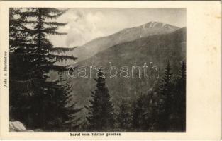 Fogarasi-havasok (Fogarasi Kárpátok), Fogarascher Karpathen, Muntii Fagarasului; látkép / Surul vom Tartar gesehen. Aufn. E. Buchholzer / mountains