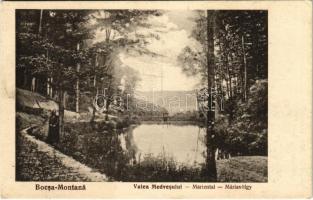 Boksánbánya, Románbogsán, Németbogsán, Deutsch-Bogsan, Bocsa Montana; Máriavölgy. Kiadja Adolf Rosner / Valea Medvesului / Mariental / valley