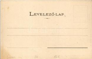 Bártfa, Bártfafürdő, Bardejovské Kúpele, Bardiov, Bardejov; Széchenyi szálloda. Divald Adolf 35. / h...