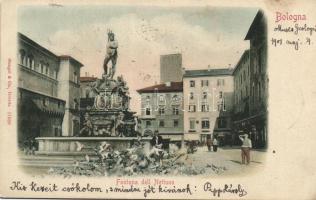 Bologna Neptun fountain (Rb)