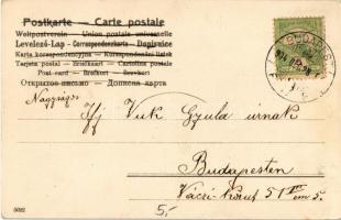 1904 Boldog Újévet! / New Year greeting art postcard with lady, pigs and clovers. litho