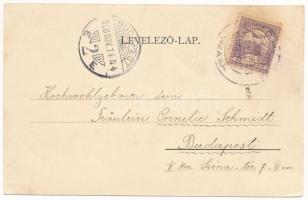 1900 Mehádia, Mehadia; Brunnenstrasse, Schlossruine / utca, várrom. A. Brauch fia kiadása / street, ...