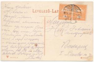 1909 Orsova, Ozanic szálloda a tulajdonos Ozanic Ferenc arcképével / hotel and its owner. Art Nouvea...