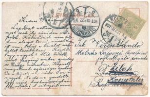 1907 Kolozsvár, Cluj; Mátyás kir. szobor és szülőháza. Lepage Lajos kiadása / birth house and statue...