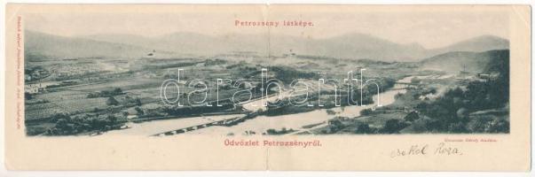 Petrozsény, Petrosani; fűrésztelep. 2 részes kinyitható panorámalap. Grausam Károly kiadása, Honisch fényképész felvétele / sawmill, factory. 2-tiled folding panoramacard (Rb)