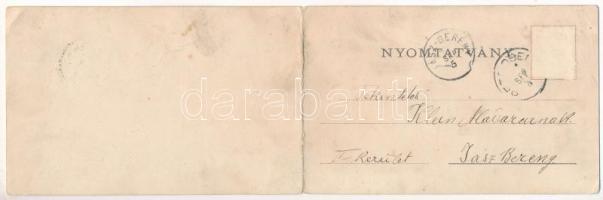 Petrozsény, Petrosani; fűrésztelep. 2 részes kinyitható panorámalap. Grausam Károly kiadása, Honisch...