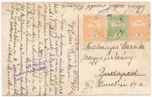 1917 Nagyilonda, Ileanda; Központi vendéglő, engedélyezett kártya árulása / restaurant