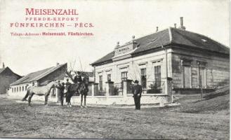 Pécs lókereskedés