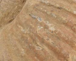 Ammonite nagyméretű, dekoratív fosszília 20x16x8 cm