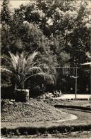 1960 Buziás, Buzias; parc / park (EK)