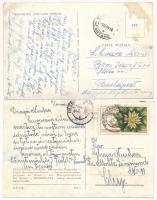 Temesvár, Timisoara; 4 db modern képeslap / 4 modern postcards