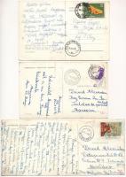 Nagyvárad, Oradea; 9 db modern képeslap / 9 modern postcards