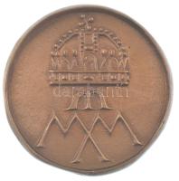 Asszonyi Tamás (1942-) 2000. "Magyar Millennium" kétoldalas bronz emlékérem tájékoztatóval...