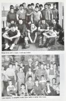 A Csepel Sport Club 75 éve. 1912-1987. Szerk.: L. Kelemen Gábor, Tőzsér László. Bp., 1987, Csepel Sp...