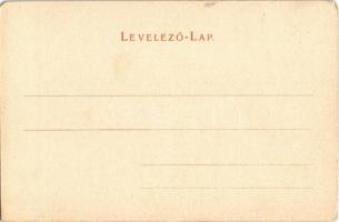 Medgyes, Mediasch, Medias; Ehem. Zekescher-Thor / régi városkapu. Fritz Guggenberger kiadása / old c...