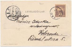 1901 Bikszádfürdő, Baile Bicsad, Bixad; Orient szálló, Móricz lak, park. Czettel és Deutsch / hotel,...