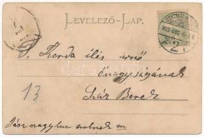 1903 Szatmárnémeti, Szatmár, Satu Mare; Deák tér keleti része, üzletek. Reizer János kiadása / squar...