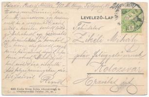 1914 Szatmárnémeti, Satu Mare; Iparos otthon, Papp Endre bérpalotája, sörcsarnok, Szilágyi József bo...