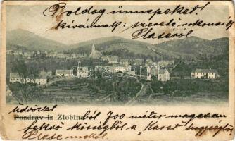 1904 Zlobin, Slobino; látkép / general view (fa)