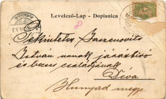 1904 Zlobin, Slobino; látkép / general view (fa)